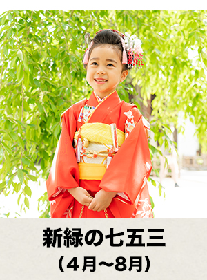 新緑の七五三